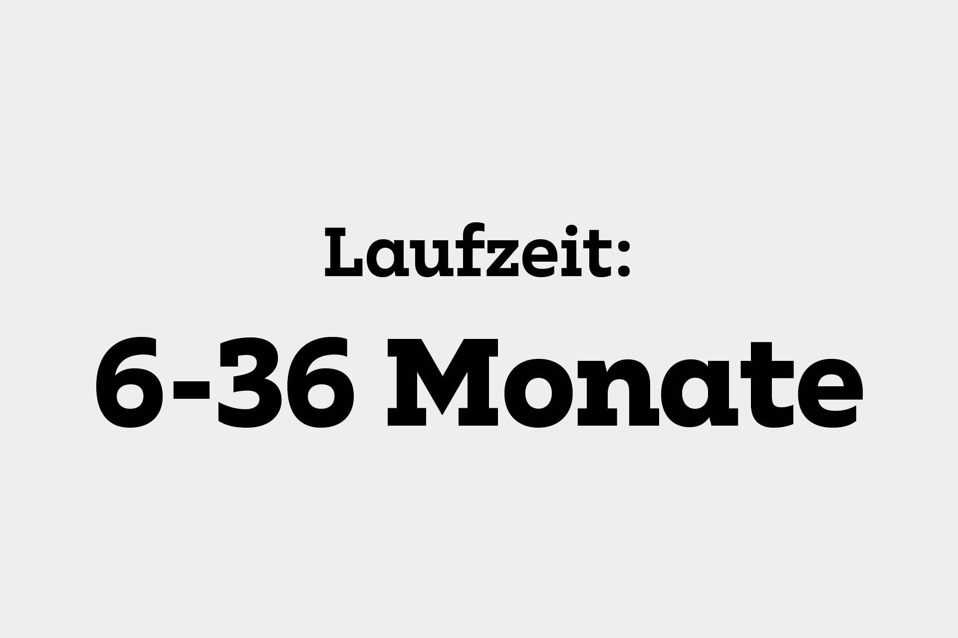 Laufzeit 6-36 Monate