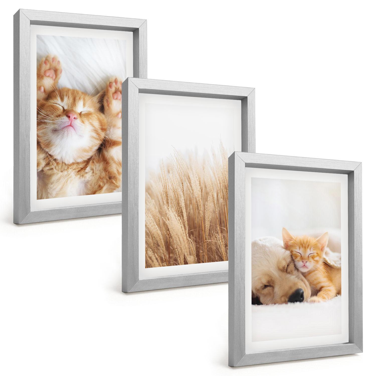 BILDER SET 3er Set - 20x30 cm Silberner Rahmen - Niedliche Tiere, Katzen, Hunde, Boho-Stil - Silberfarben, Kunststoff (20/30cm) - TULUP