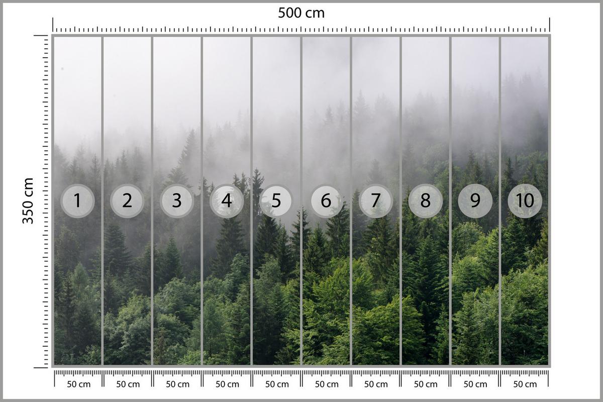 FOTOTAPETE für Wohnzimmer Nadelbäume Nebelwald Grün 500x350 - Grau/Grün, Papier (500/350cm) - Muralo