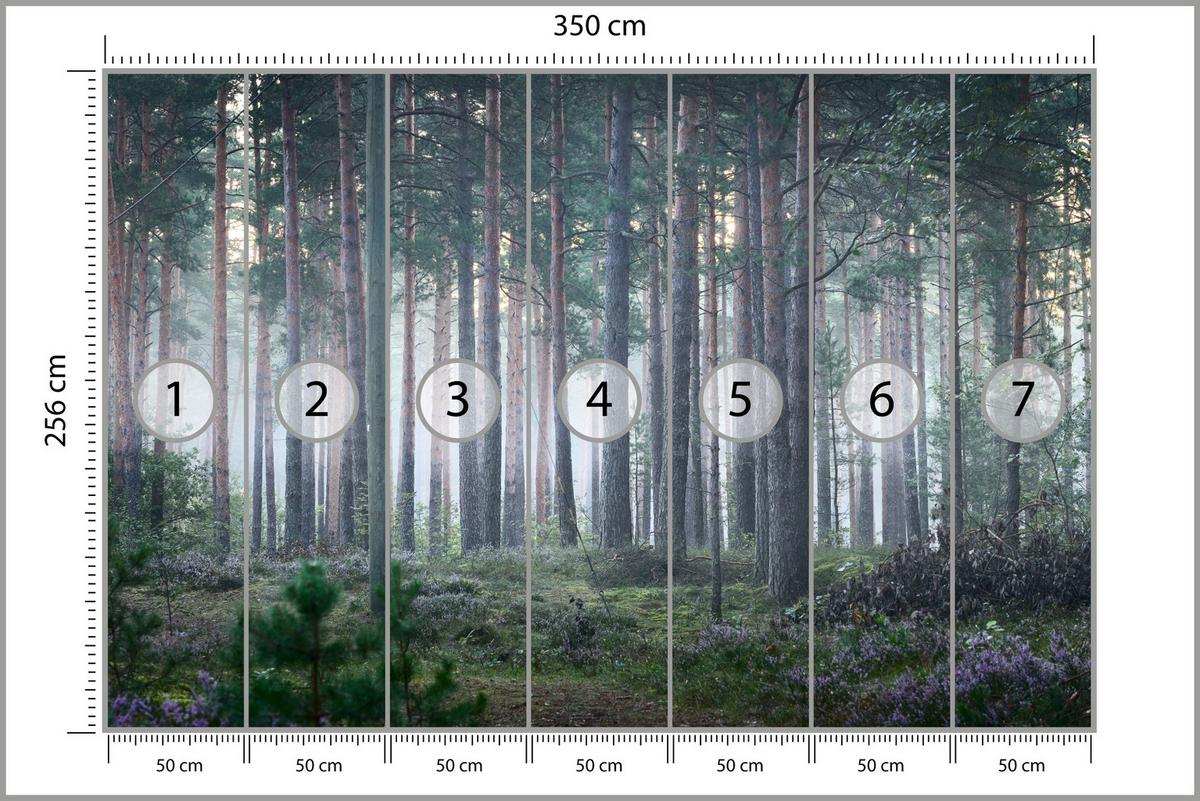 FOTOTAPETE für Wohnzimmer Nebelwald mit Bäumen Moos Grün 350x256 - Grau/Grün, Papier (350/256cm) - Muralo