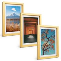 BILDER SET 3er Set - 20x30 cm Goldrahmen - Japanische Naturlandschaften - Goldfarben, Kunststoff (20/30cm) - TULUP