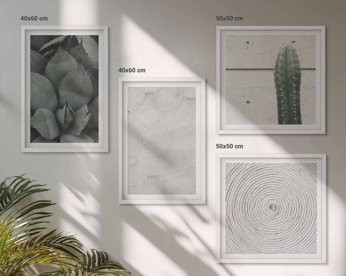 BILDER SET 4er Set - 50x50 cm & 40x60 cm Weißer Rahmen - Sommerliche Texturen aus den Tropen - Weiß, Kunststoff (50/50cm) - TULUP