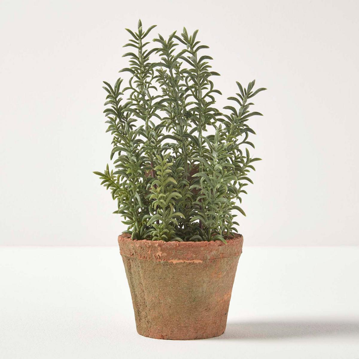 KUNSTPFLANZE Thymian im Terrakotta-Topf, 16 cm - Grün, Kunststoff (16cm) - Homescapes