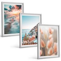 BILDER SET 3er Set - 40x60 cm Silberner Rahmen - Sonnenuntergang am Meer, Häuser, Blumen - Silberfarben, Kunststoff (40/60cm) - TULUP