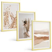 BILDER SET 3er Set - 40x60 cm Goldrahmen - Rustikale Boho-Blumenmotive - Goldfarben, Kunststoff (40/60cm) - TULUP