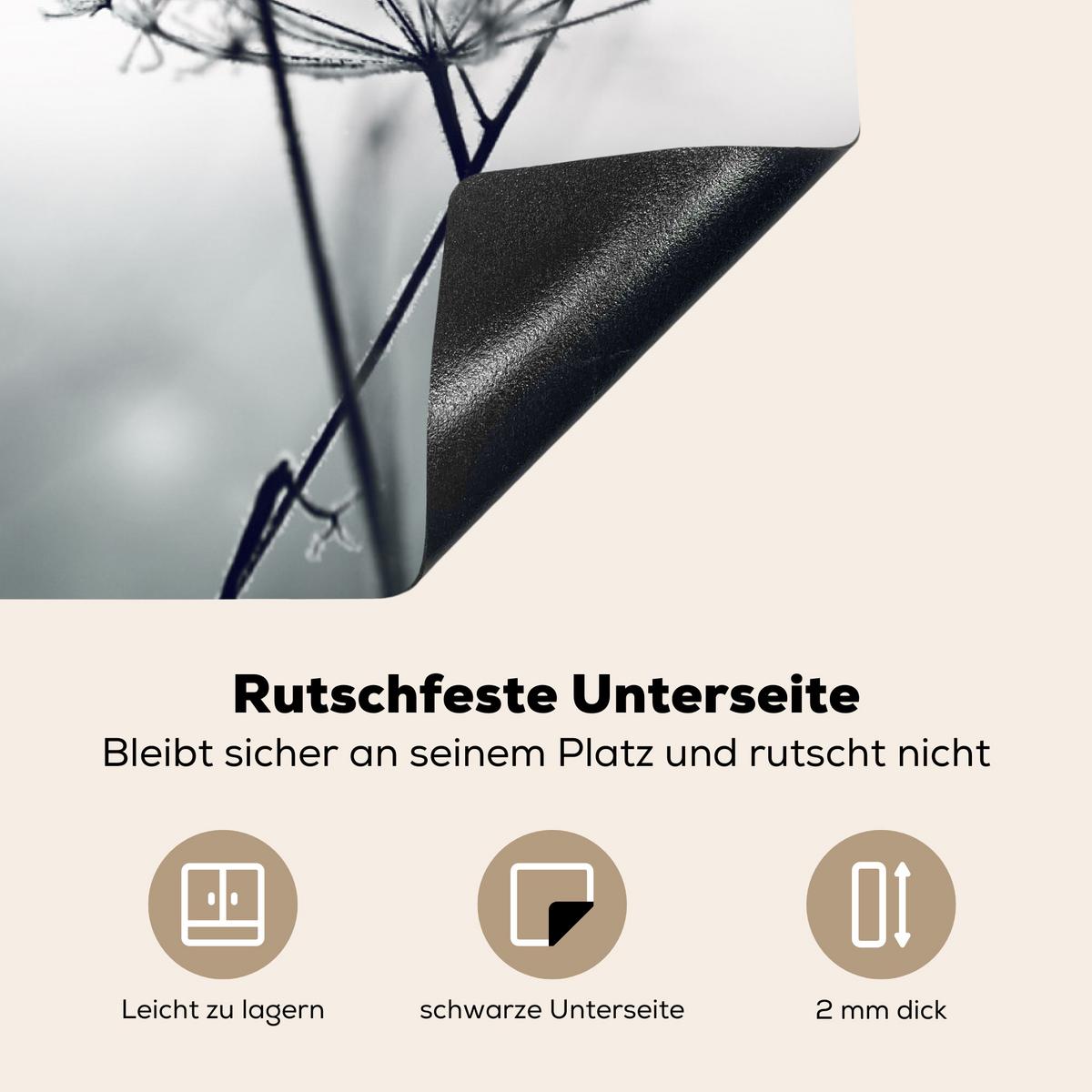 HERDABDECKPLATTE Blumen - Winter - Schnee - Natur Induktionsschutz 81.6x52.7 cm - Grau, Kunststoff (81.6/52.7/0.2cm) - MuchoWow