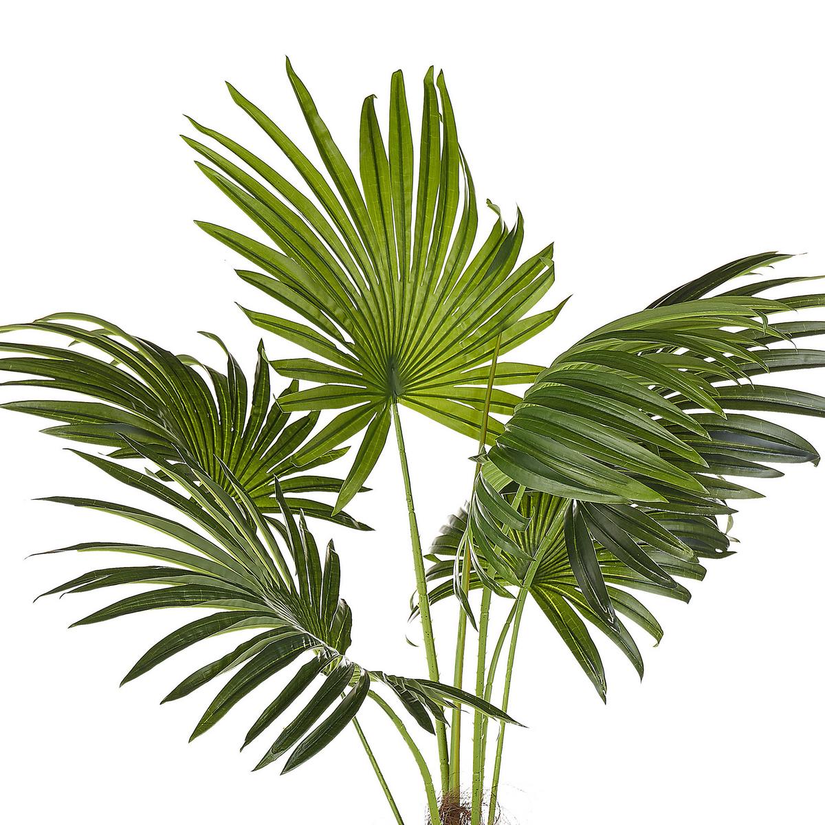KUNSTPFLANZE 100 cm Grün Fan Palm - Schwarz/Grün, Kunststoff (100cm) - Beliani