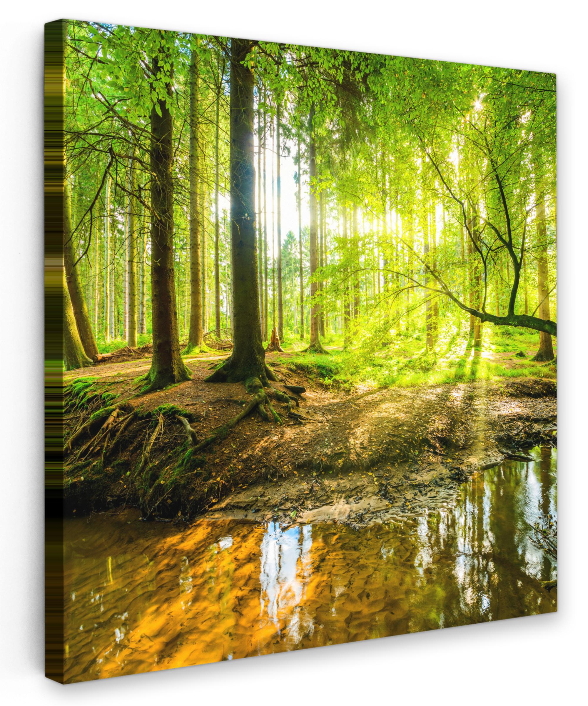 LEINWANDBILD Wald - Landschaft - Wasser - Bäume - Sonne - Grün - Natur Wandbild Wohnzimmer 50x50 cm - Grün, Textil (50/50cm) - MuchoWow