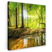 LEINWANDBILD Wald - Landschaft - Wasser - Bäume - Sonne - Grün - Natur Deko Groß 90x90 cm - Grün, Textil (90/90cm) - MuchoWow