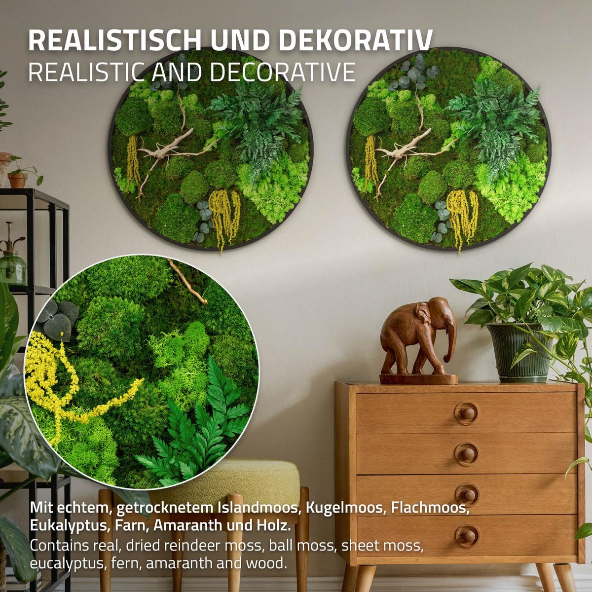 MOOSBILD Rund Ø 60 cm Mooswand Indoor mit echtem Kugel-, Island- und Flachmoos-Mix und Ästen Holzrahmen Grün - Gelb/Grün, Naturmaterialien (60/60/3cm) - ECD-Germany