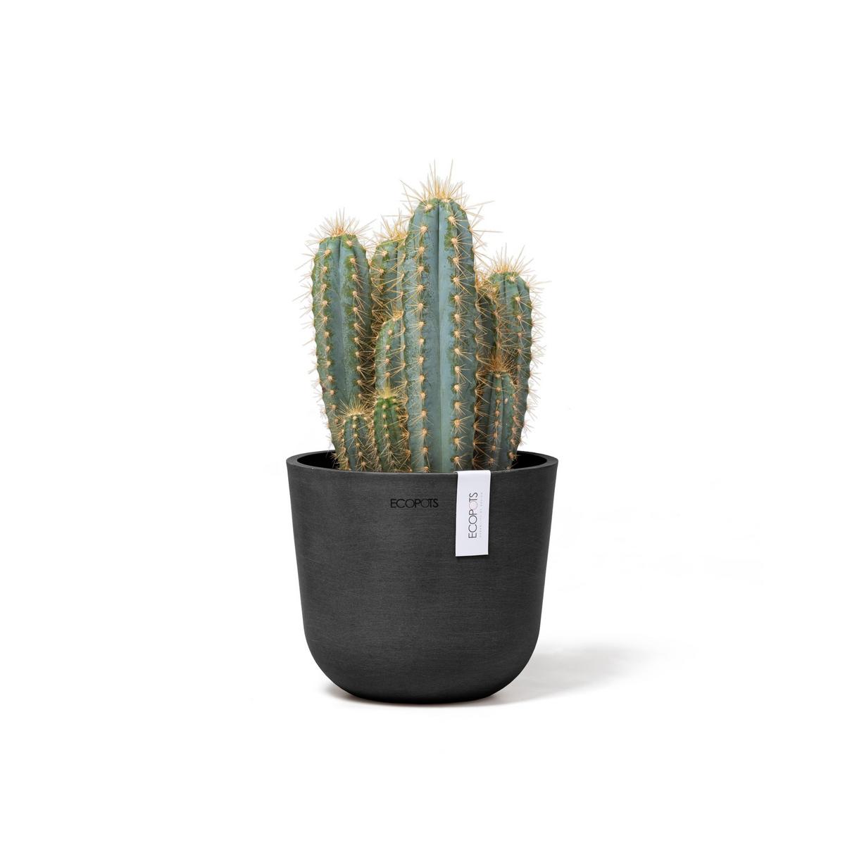 BLUMENTOPF Oslo Mini 16/13,7 cm Dunkelgrau - Dunkelgrau, Kunststoff (16/13.7cm) - Ecopots
