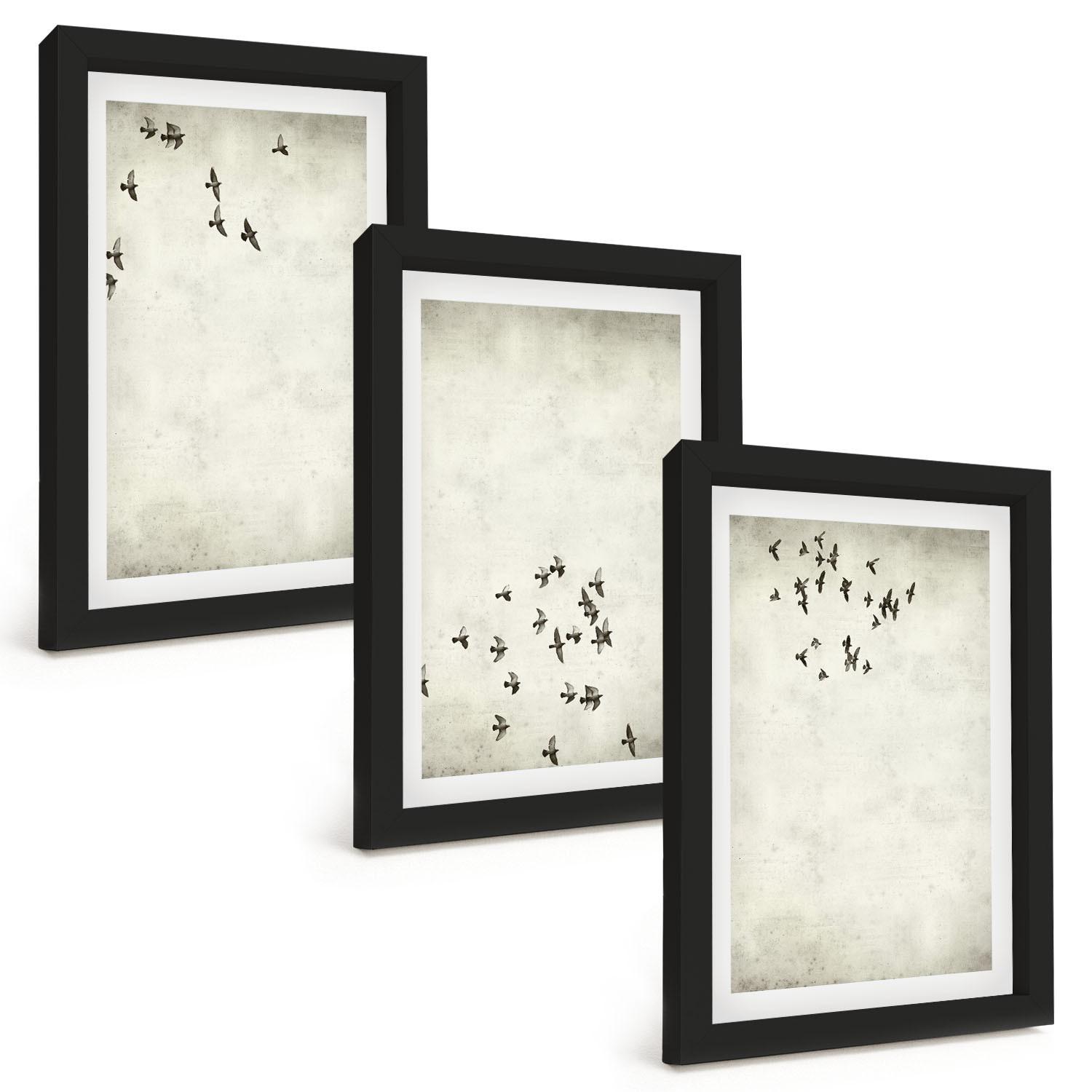 BILDER SET 3er Set - 20x30 cm Schwarzer Rahmen - Minimalistische Vogelmalerei - Schwarz, Kunststoff (20/30cm) - TULUP