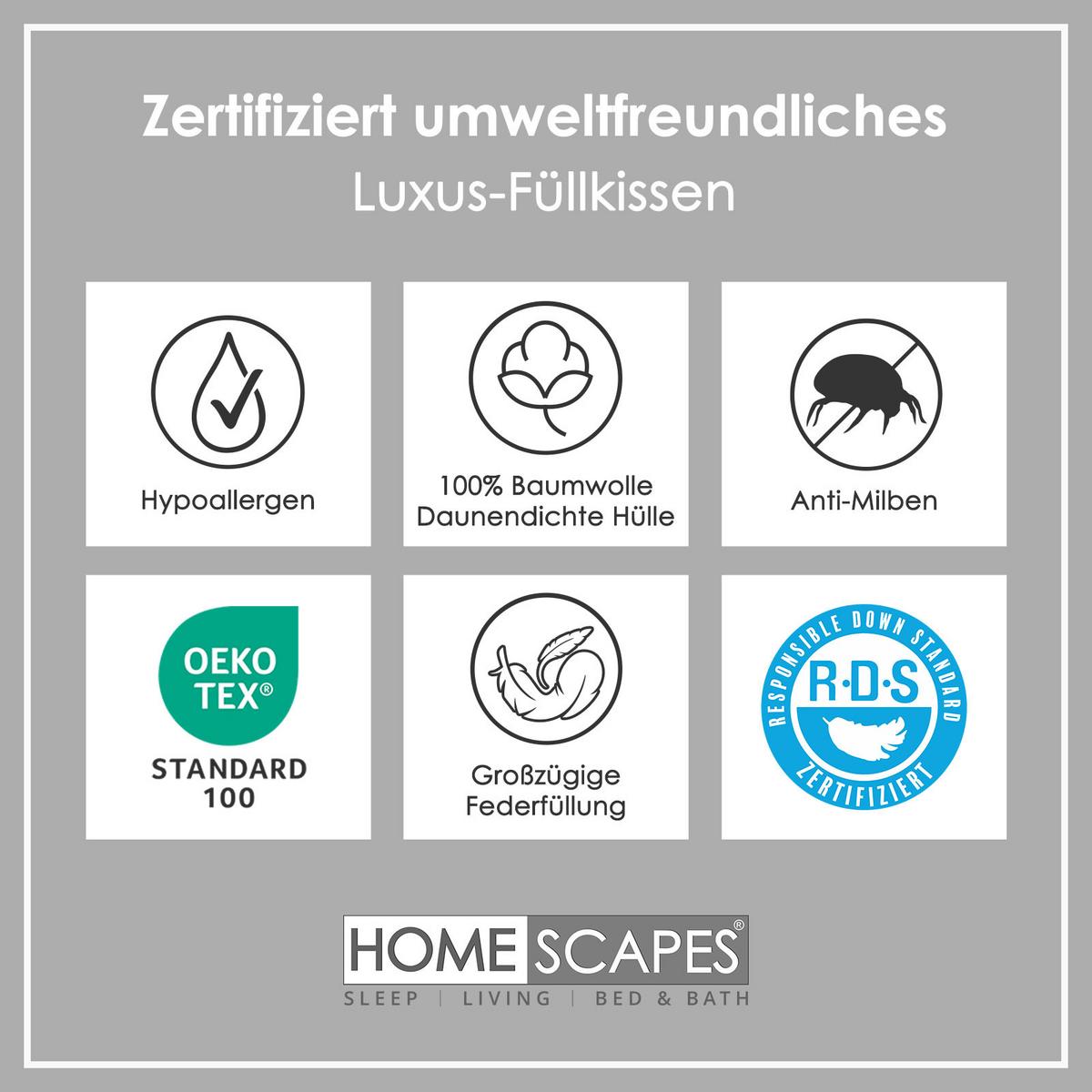 FÜLLKISSEN 60/60 cm – Entenfedern - Weiß, Textil (60/60cm) - Homescapes