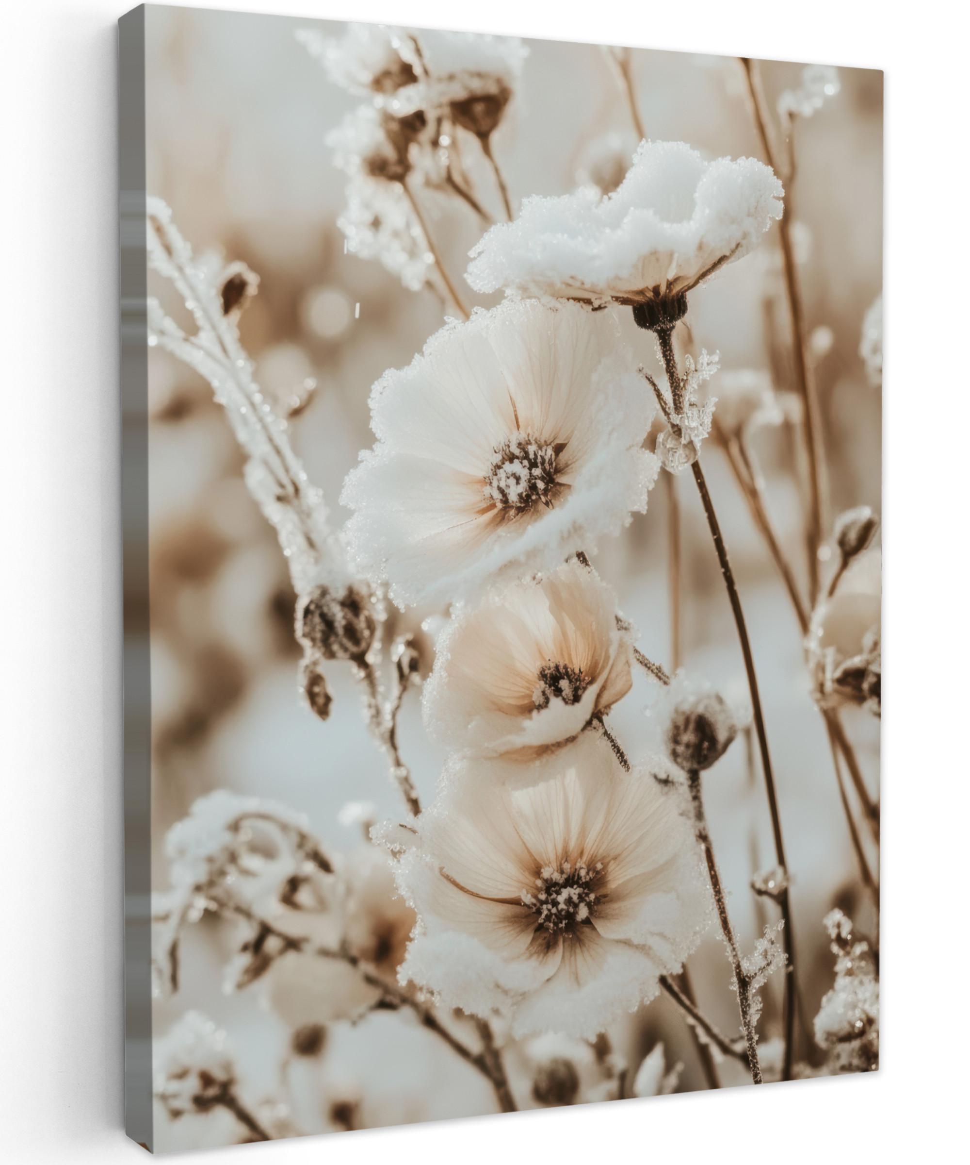 LEINWANDBILD Blumen - Winter - Weiß - Schnee - Beige Wandbild Wohnzimmer 60x80 cm - Creme, Textil (60/80cm) - MuchoWow