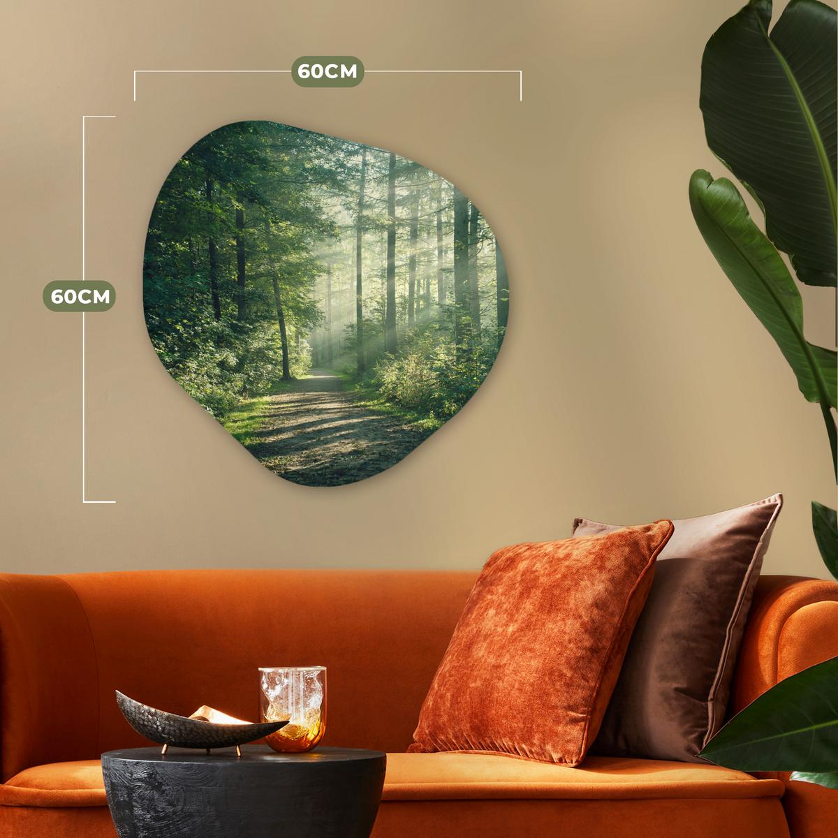 WANDBILD Wald - Weg - Sonne - Bäume - Grün - Natur Wandbild 60x60 cm - Waldgrün, Kunststoff (60/60cm) - MuchoWow