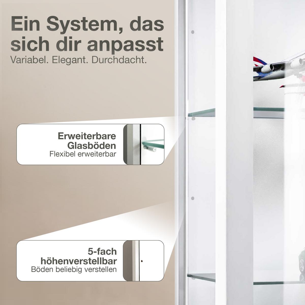 HÄNGEVITRINE 25/60/80 cm mit 2 höhenverstellbaren Glasböden - Transparent/Silberfarben, Glas/Holzwerkstoff (60/80/25cm) - K-Möbel