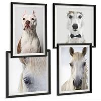 BILDER SET 4er Set - 50x50 cm & 40x60 cm Schwarzer Rahmen - Elegante Porträts von Hunden und Pferden - Schwarz, Kunststoff (50/50cm) - TULUP