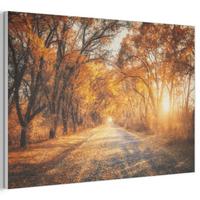 AKUSTIKBILD Wald - Herbst - Bäume - Waldweg - Natur Akustikpaneele 90x60 cm - Bernsteinfarben, Kunststoff (90/60/0.9cm) - MuchoWow