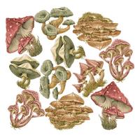 WANDAUFKLEBER 100x40cm - Pilzwiese - Multicolor, Kunststoff (100/40/0.1cm) - Wallfluent