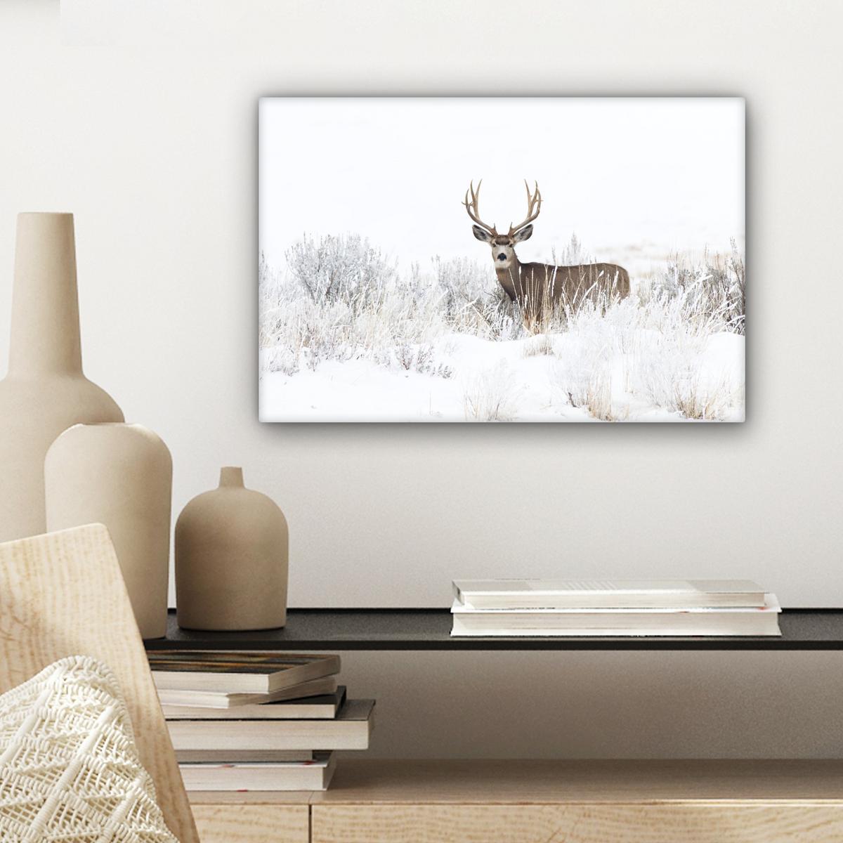 LEINWANDBILD Hirsche - Winter - Schnee - Tiere - Jahreszeiten - Weiß Deko Schlafzimmer 30x20 cm - Hellbraun, Textil (30/20cm) - MuchoWow