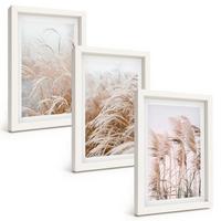 BILDER SET 3er Set - 20x30 cm Weißer Rahmen - Grasflächen in Braun- und Beigetönen - Weiß, Kunststoff (20/30cm) - TULUP