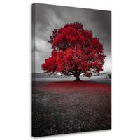 LEINWANDBILD Moderne Landschaft mit rotem Baum 40x60cm - Grau, Textil (40/60cm) - Feeby