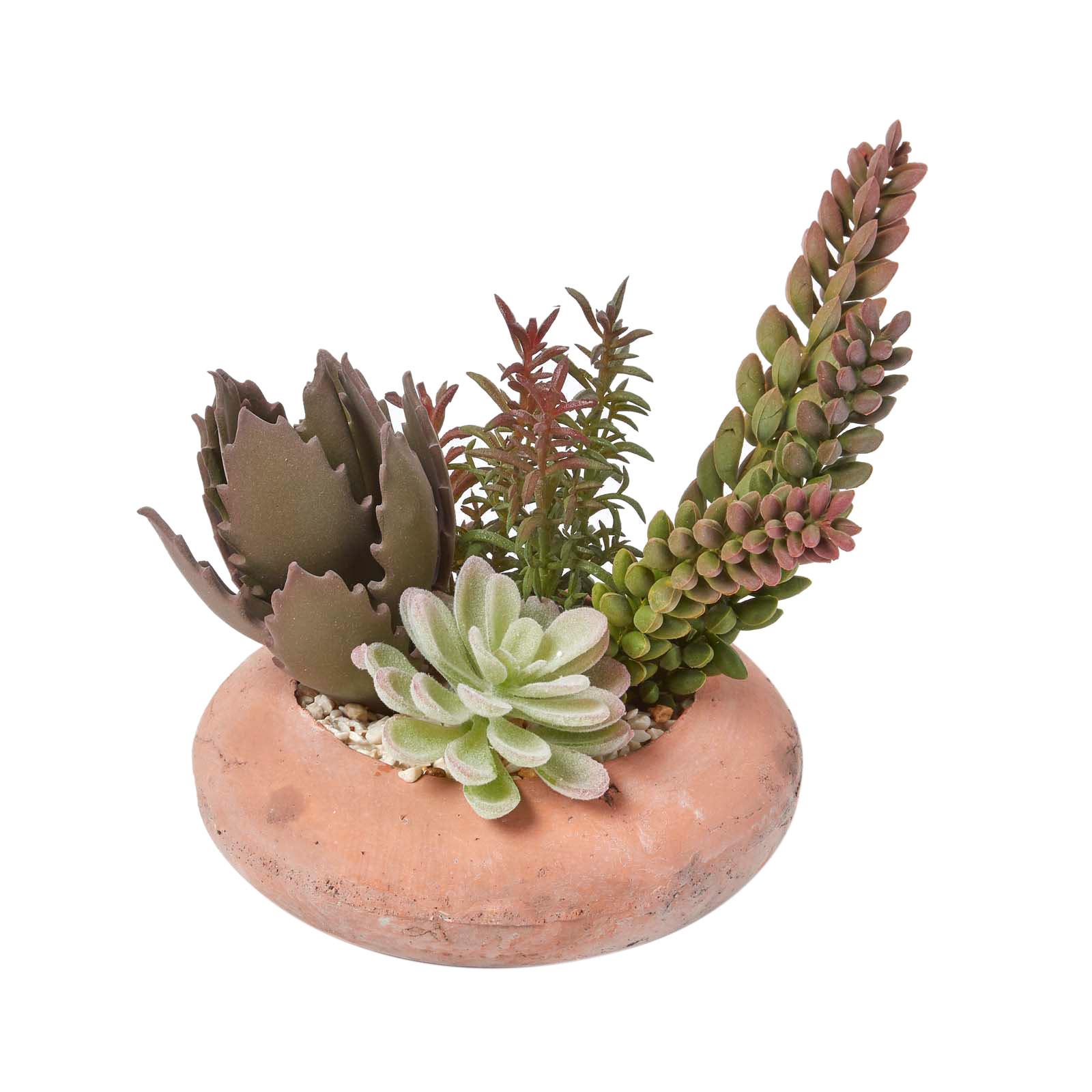 KUNSTPFLANZEN Sukkulenten-Arrangement in Deko-Schale, 15 cm - Grün, Kunststoff (14cm) - Homescapes