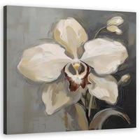 WANDBILD weiß bemalte orchidee - Weiß, Textil (50/50cm) - Feeby