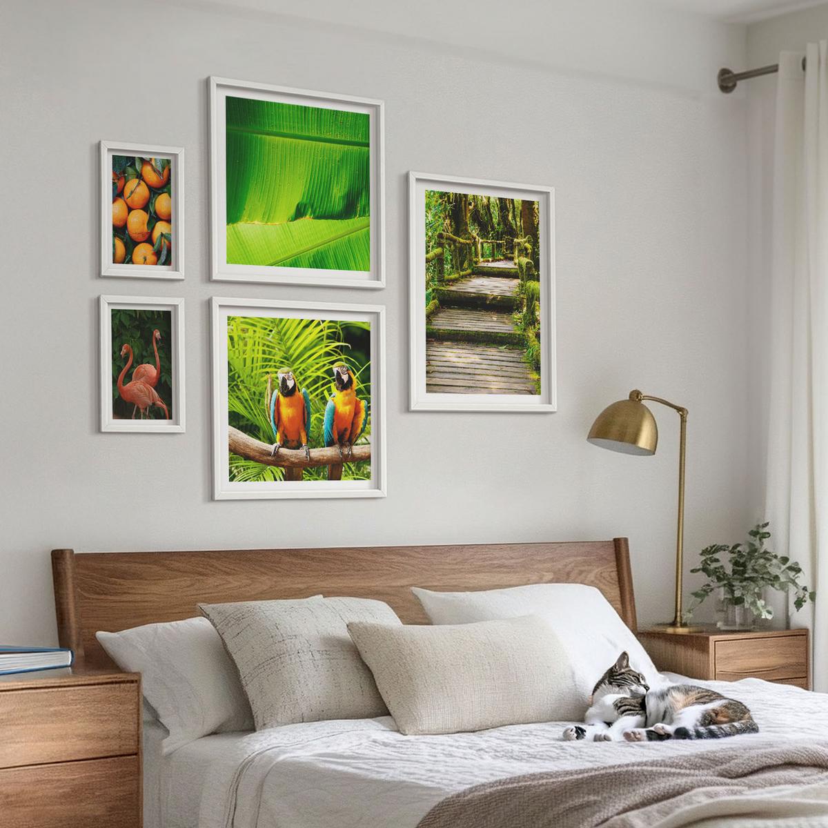BILDER SET 5er Set - 50x50 cm & 20x30 cm & 40x60 cm Weißer Rahmen - Fruchtige Akzente der Tropen - Weiß, Kunststoff (40/60cm) - TULUP