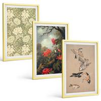 BILDER SET 3er Set - 40x60 cm Goldrahmen - Blumen, Vögel, Natur - Goldfarben, Kunststoff (40/60cm) - TULUP