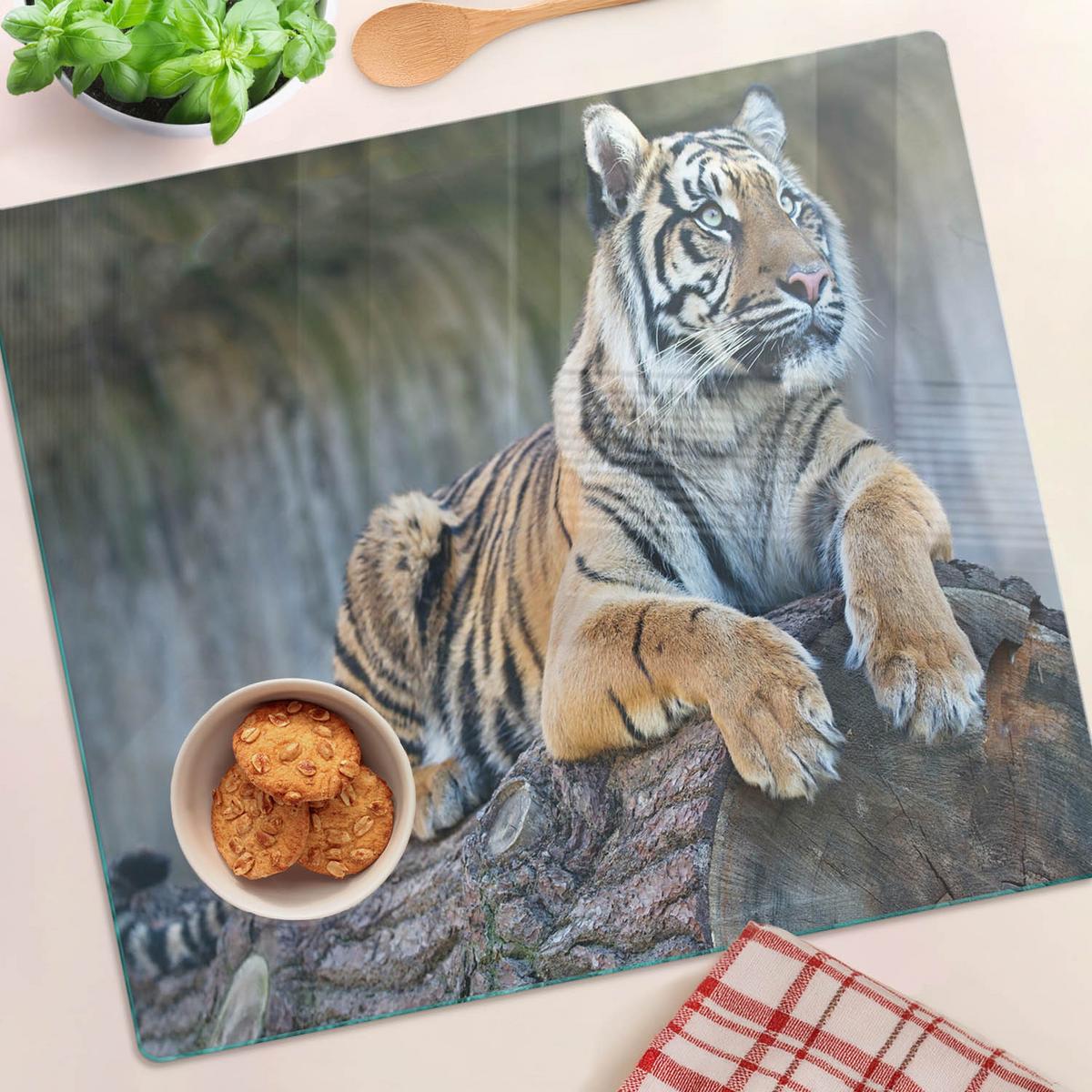 GLASPLATTE 60x52 cm Tiger - Grau, Glas (60/0.4/52cm) - TULUP