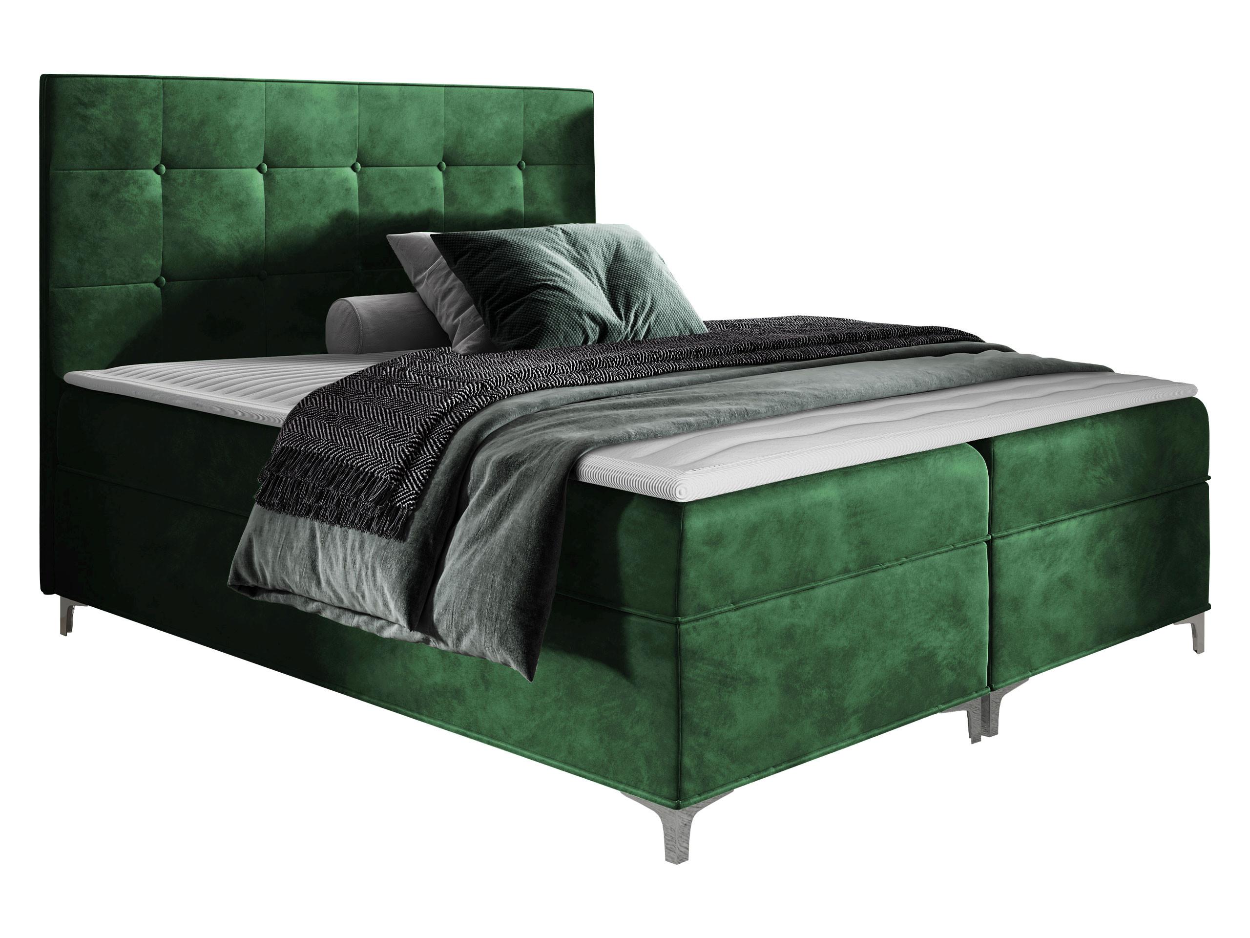 BOXBETT Snake - H3 - Grün, Holz (160/200cm) - MIRJAN24