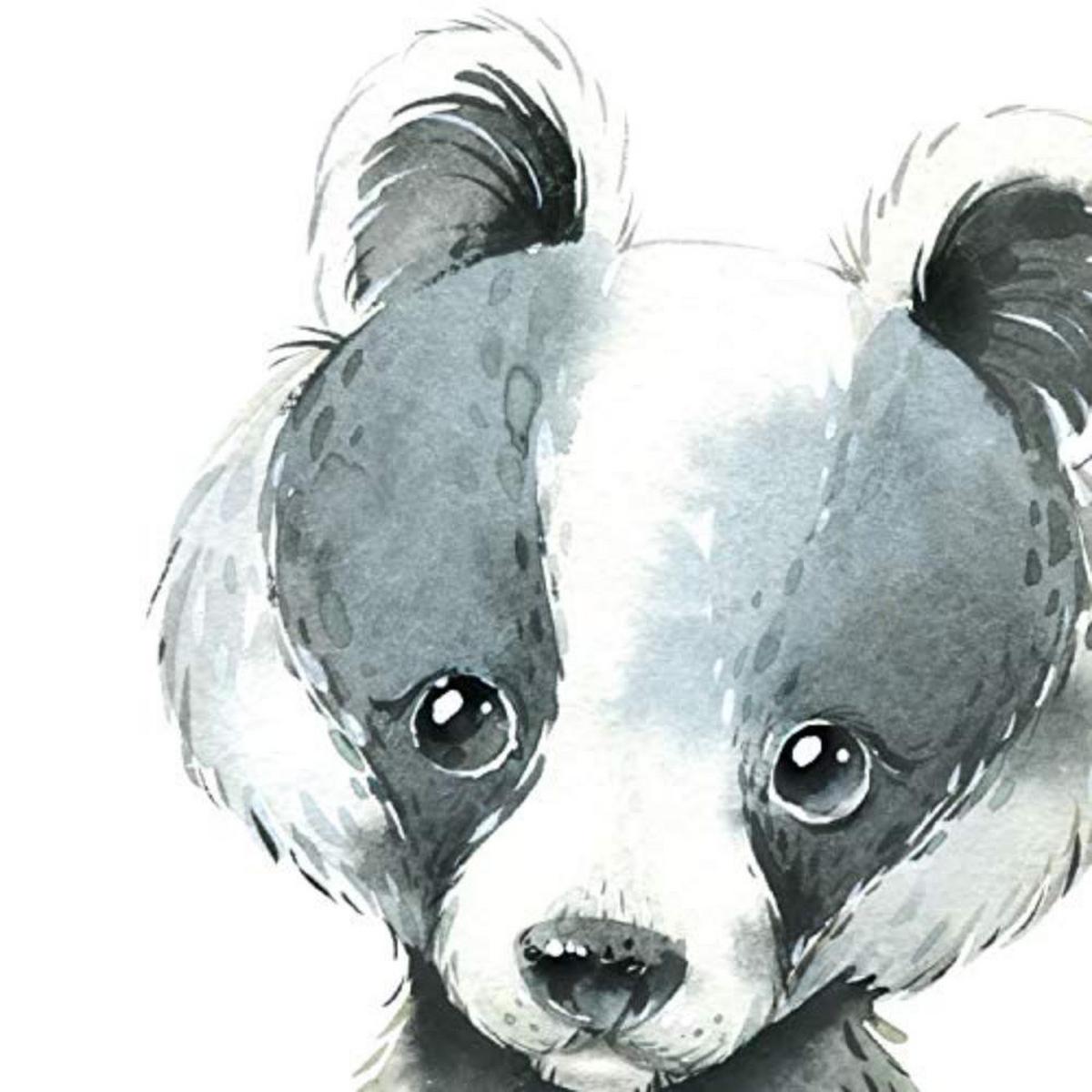 POSTER Set mit 4 Karte Zebra Pferd und Hirsch A3 Schwarzer Rahmen - Schwarz, Papier (29.7/3cm) - Nacnic
