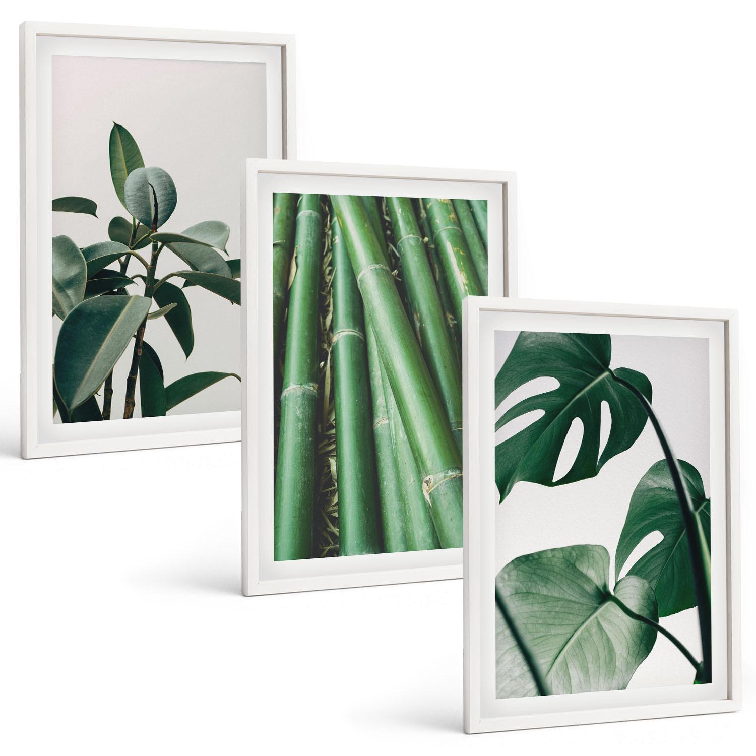 BILDER SET 3er Set - 40x60 cm Weißer Rahmen - Bambusstängel und Monstera-Blätter - Weiß, Kunststoff (40/60cm) - TULUP