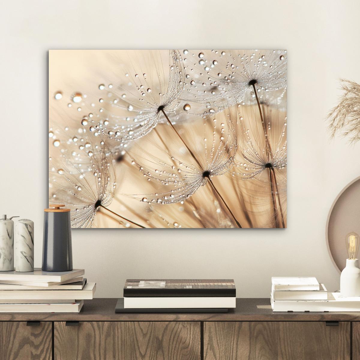 METALLBILD Löwenzahn - Abstrakt - Natur - Beige 40x30 cm - Braun, Metall (40/30cm) - MuchoWow