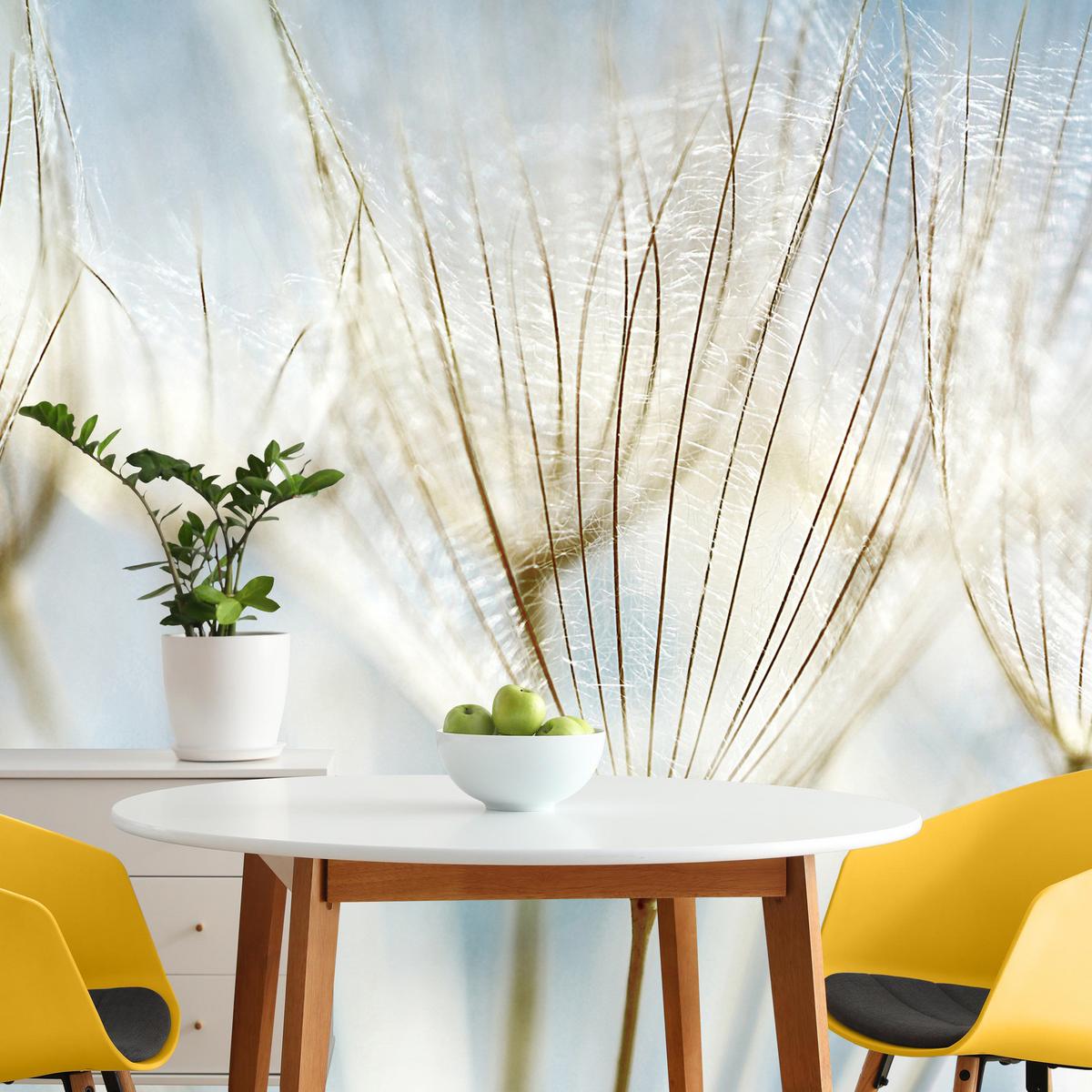 FOTOTAPETE für Wohnzimmer Löwenzahn Pflanzen Natur 100x70 - Blau/Beige, Papier (100/70cm) - Muralo