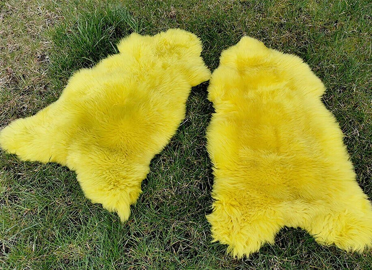 LAMMFELL Öko bunt gefärbt weich Fell Teppich Sonnengelb ca. 110 cm - Gelb, Fell (60/110cm) - Provellus