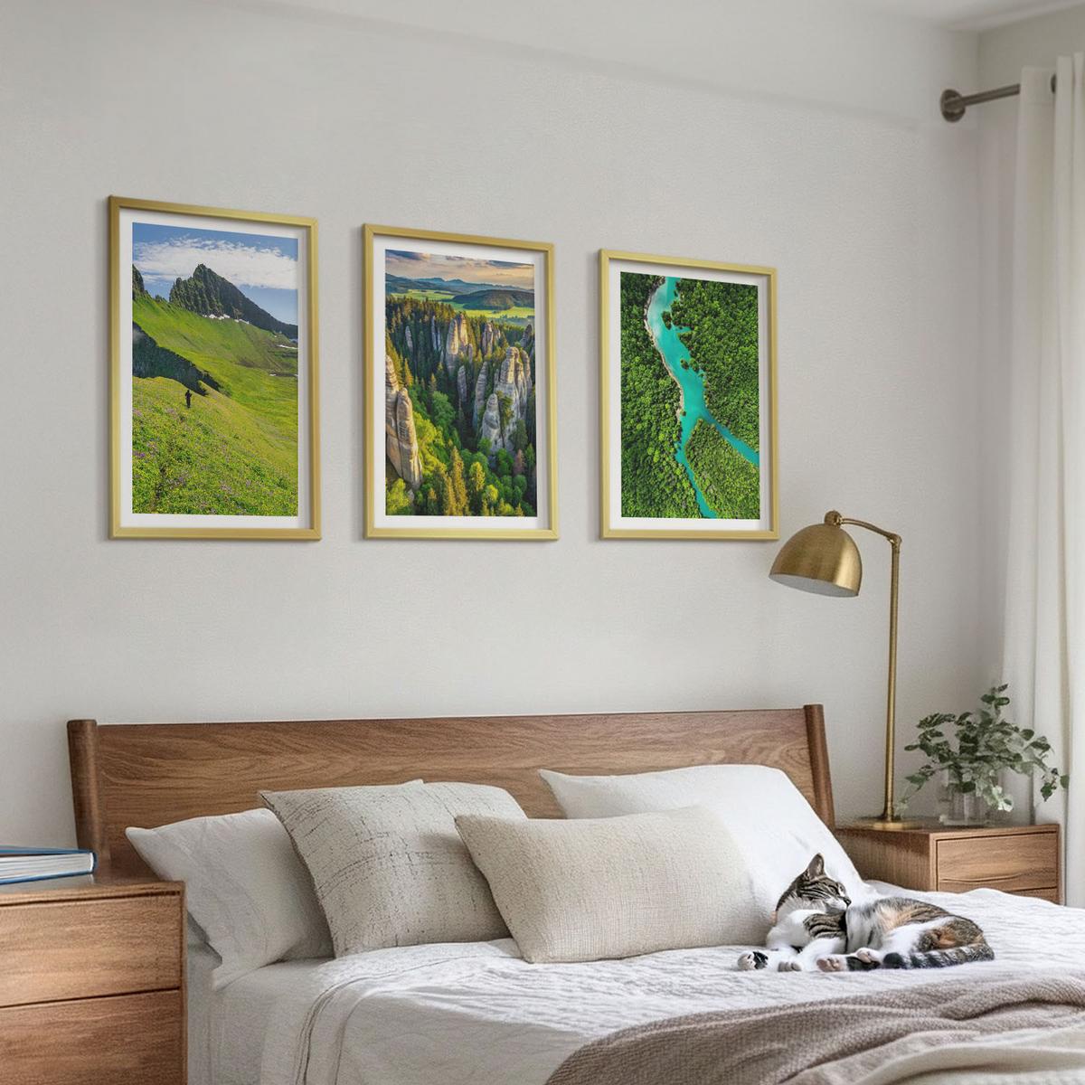 BILDER SET 3er Set - 40x60 cm Goldrahmen - Grüne Berge, Flussfelsen - Goldfarben, Kunststoff (40/60cm) - TULUP