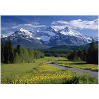 FOTOTAPETE Berge Wald Grün 150x105 cm - Multicolor, Papier (150/105cm) - Wallarena