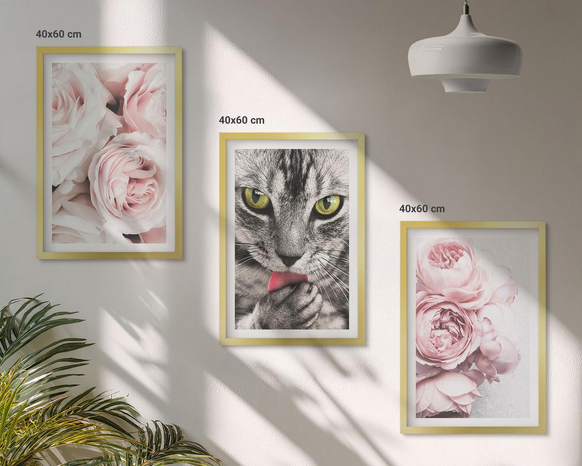 BILDER SET 3er Set - 40x60 cm Goldrahmen - Katze in rosa Blumen - Goldfarben, Kunststoff (40/60cm) - TULUP