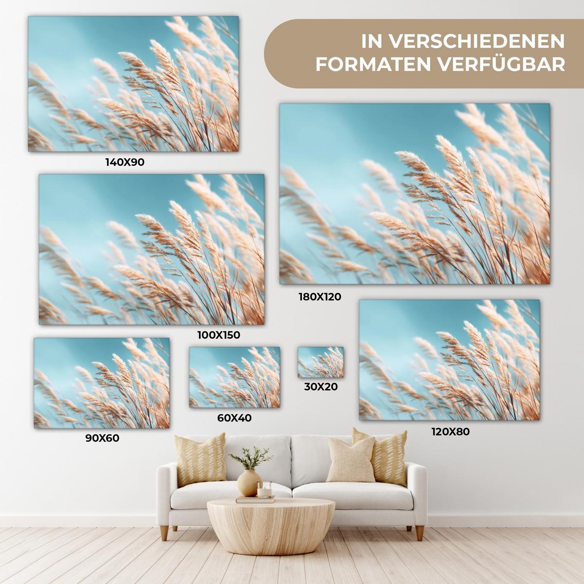 LEINWANDBILD Ziergras - Wind - Hellbraun Wanddeko 90x60 cm - Hellblau, Textil (90/60cm) - MuchoWow