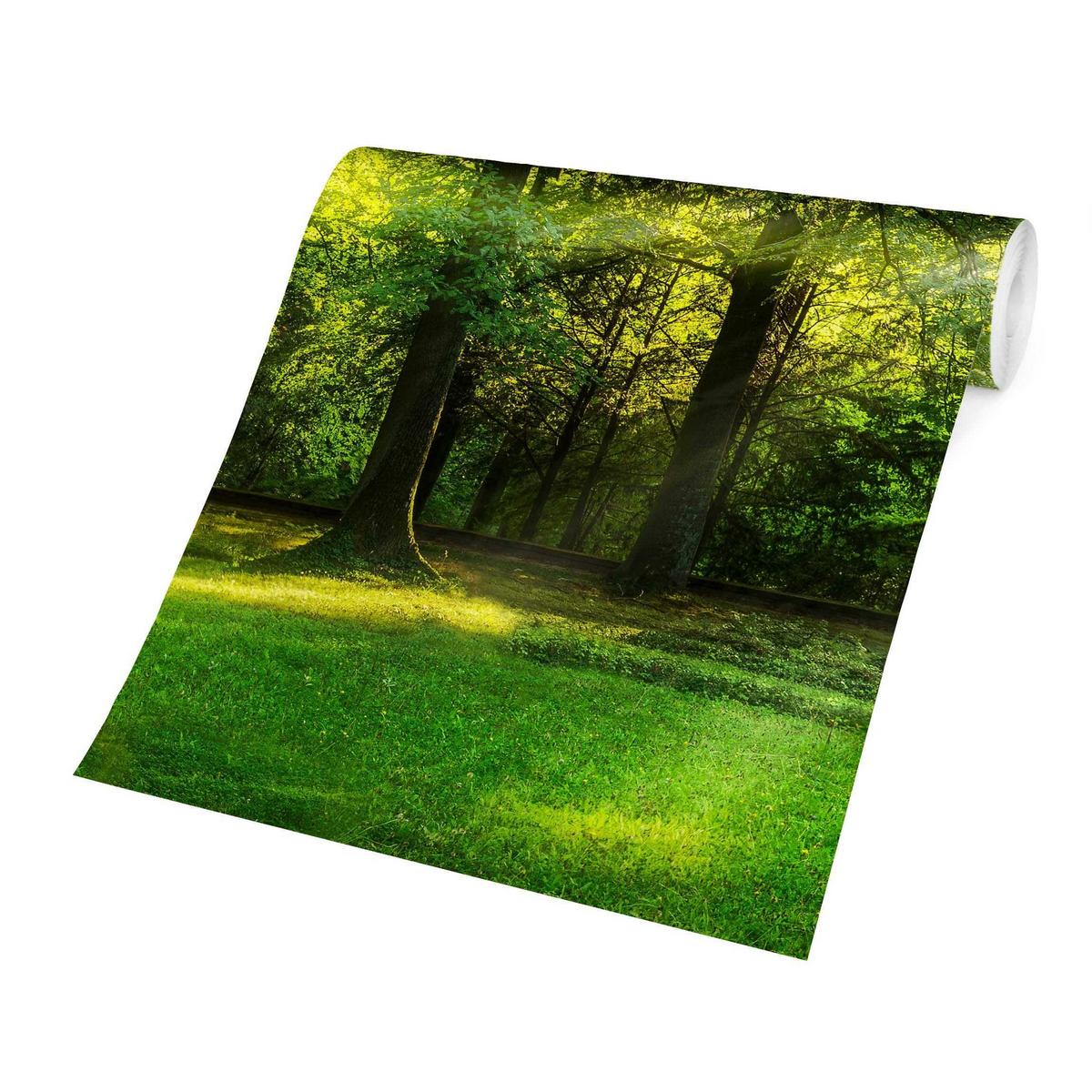 FOTOTAPETE Spaziergang im Wald 192/192 cm - Grün, Papier (192/192cm) - Bilderwelten