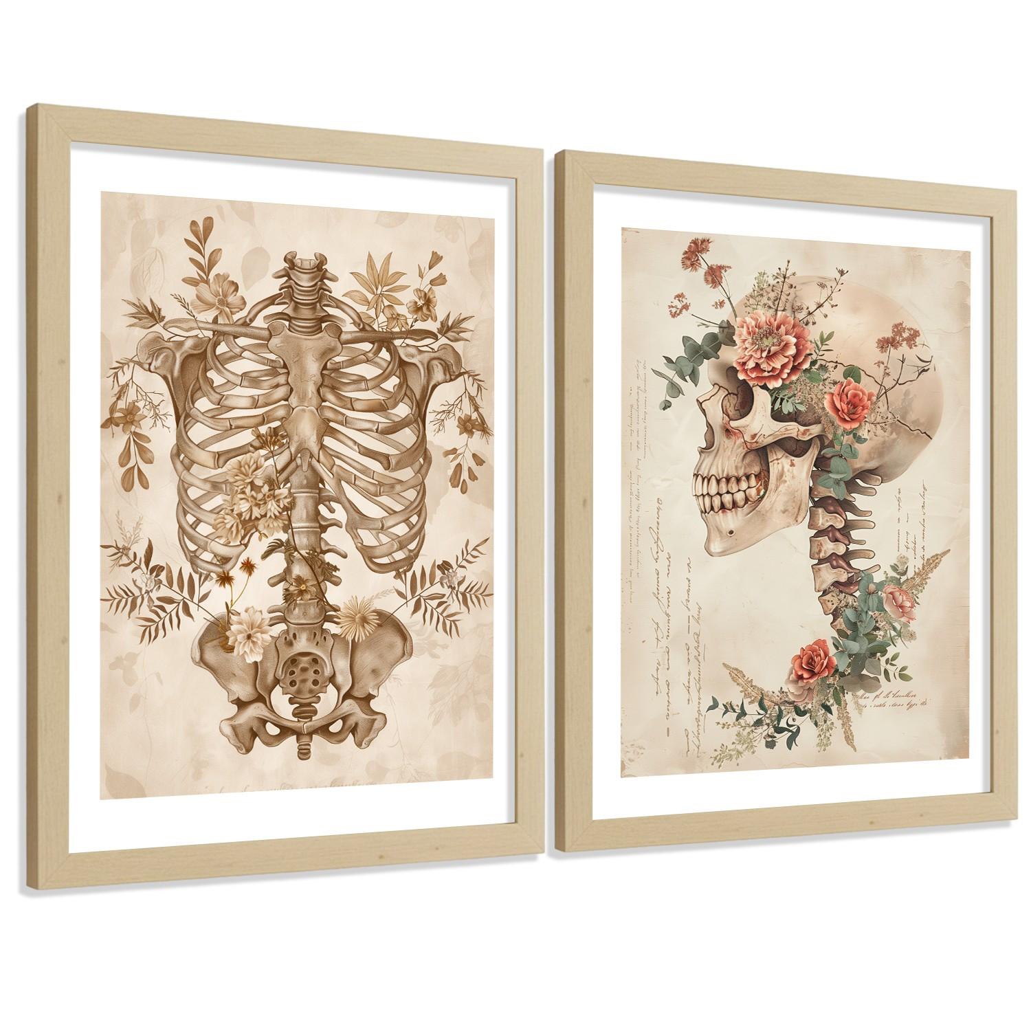POSTER Set aus 2 Anatomie Mensch Drucke und Wandbilder mit Skelett Schädel Wirbelsäule Rippen Becken Klassischer Stil Größe Leichter Holzrahmen A4 - Beige, Papier (21/29.7/3cm) - Nacnic