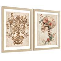 POSTER Set aus 2 Anatomie Mensch Drucke und Wandbilder mit Skelett Schädel Wirbelsäule Rippen Becken Klassischer Stil Größe Leichter Holzrahmen A4 - Beige, Papier (21/29.7/3cm) - Nacnic