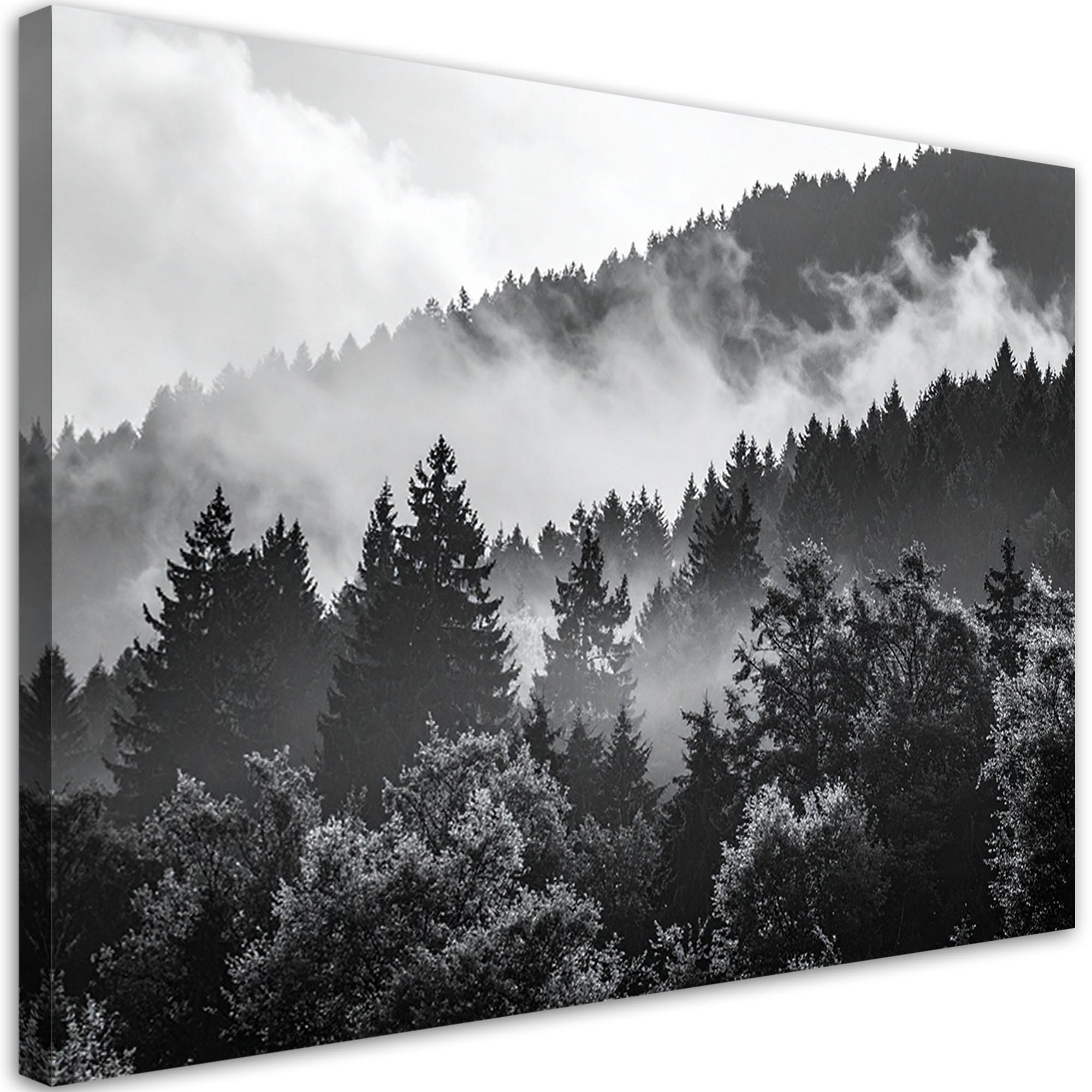 LEINWANDBILD Wald im Nebel schwarz-weiß 100x70cm - Schwarz, Textil (100/70cm) - Feeby