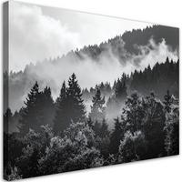 LEINWANDBILD Wald im Nebel schwarz-weiß 100x70cm - Schwarz, Textil (100/70cm) - Feeby