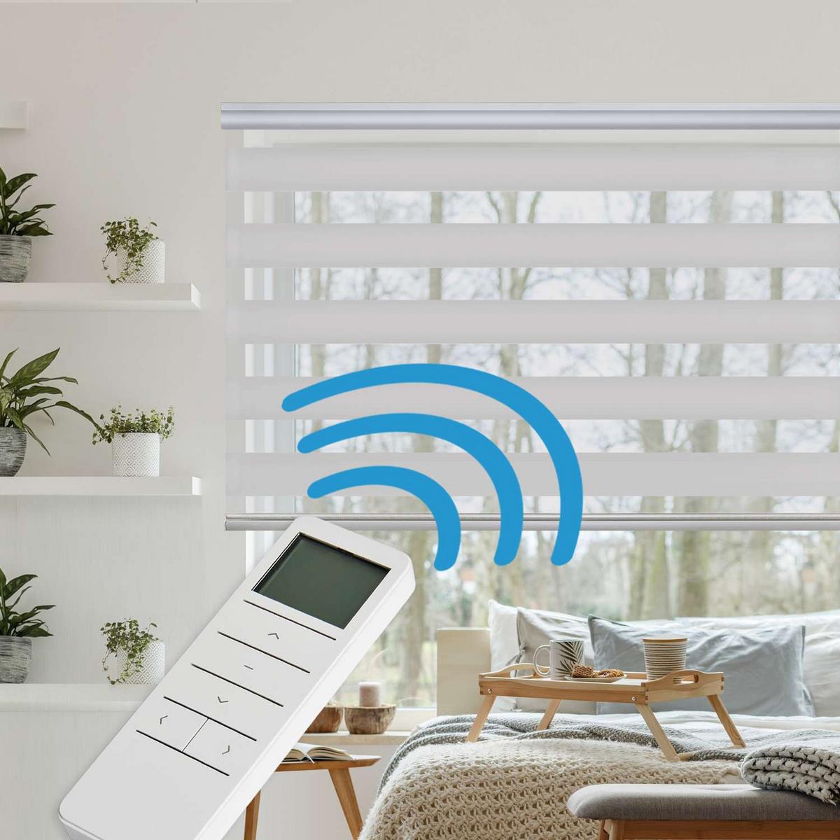 DOPPELROLLO Motorisiertes Grau 100x250 cm - Grau, Kunststoff (100/250cm) - STORESDECO