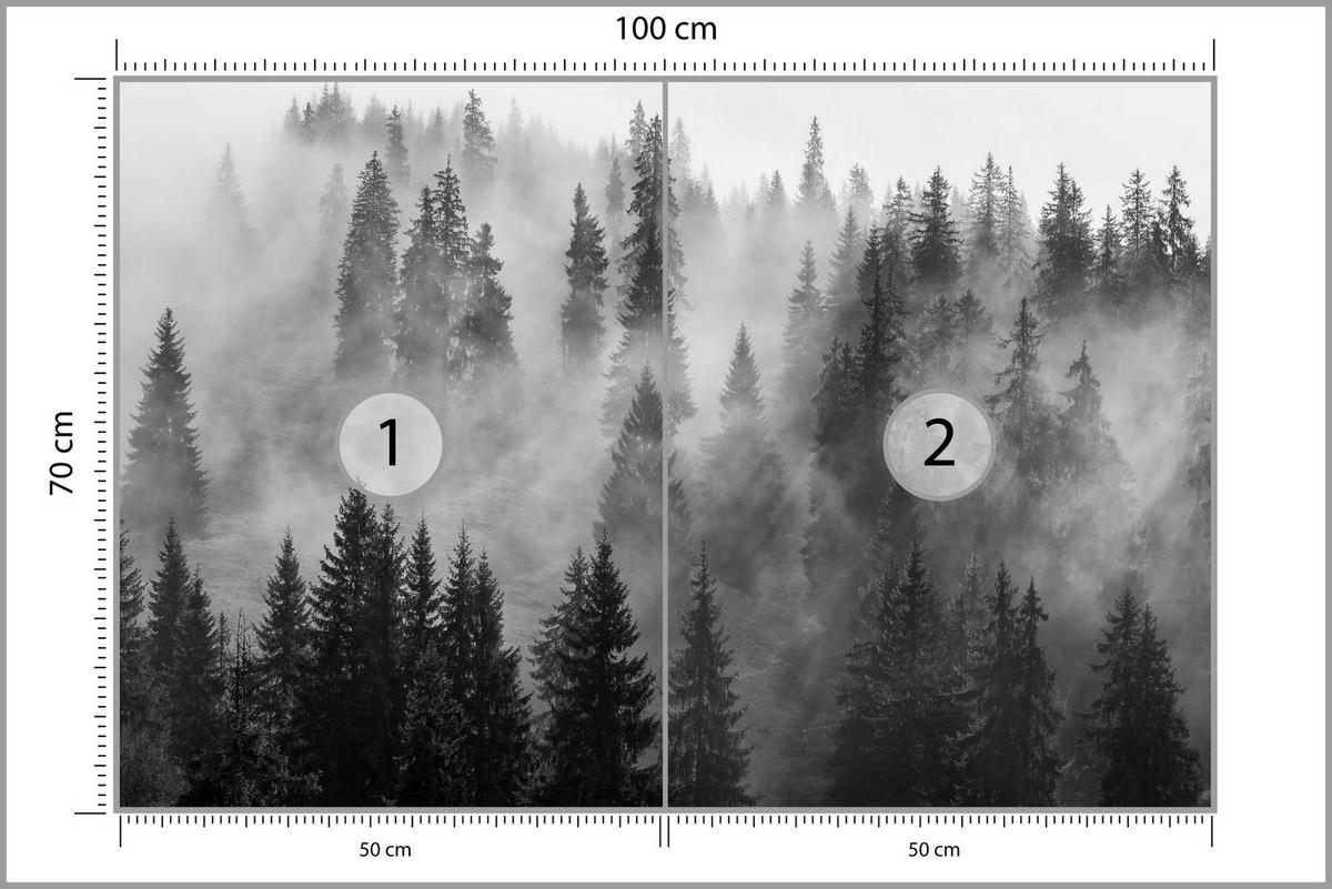 FOTOTAPETE Schwarz-weißer Wald im Nebel Natur 100x70 - Schwarz/Grau, Papier (100/70cm) - Muralo