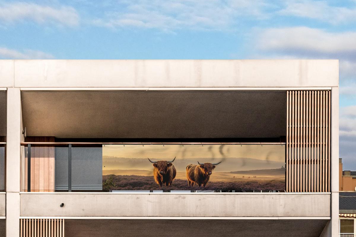 BALKON-SICHTSCHUTZ Schottische Hochlandbewohner - Heide - Landschaft - Tiere Witterungsbeständig 300x75 cm - Cognac, Kunststoff (300/75cm) - MuchoWow