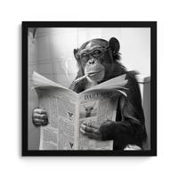 POSTER MIT RAHMENGERAHMTES BILD Affe - WC - Zeitung - Schwarz-Weiß - Humor 40x40 cm - Hellgrau, Papier (40/40cm) - MuchoWow